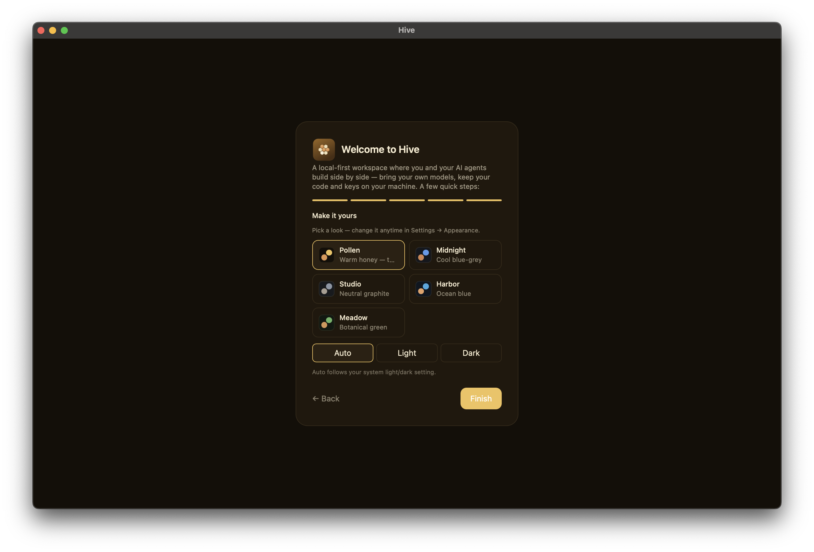 Onboarding step 5 — pick a theme